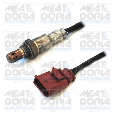 Oxygen Sensor